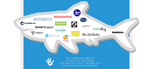 Shark Tank Raffle - Benefiting Ava Grace, 2 year old Critically Injured by Distracted Driver